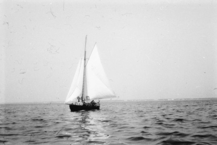 2014-07-10 26  kopia 1024
