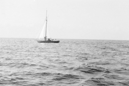2014-07-10 101 1024